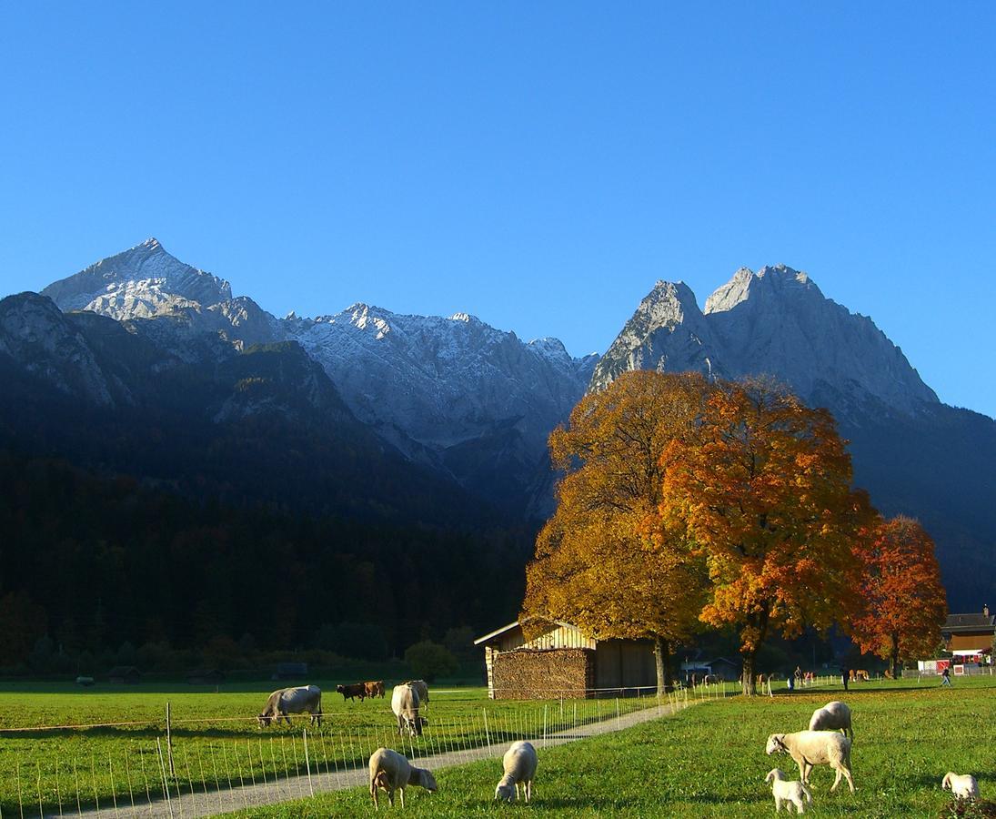 Ferienwohnung Am Kurpark -Wohnung 2,90Qm- Garmisch-Partenkirchen Ngoại thất bức ảnh